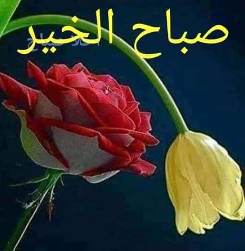 _Sunlight2468's tweet photo. @OMAN89186100 https://t.co/N5WTRLBRmZ