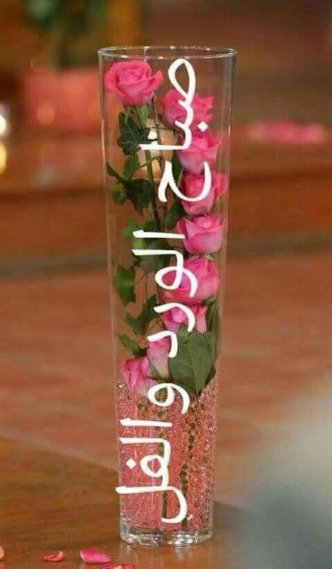 _Sunlight2468's tweet photo. @majidrahim3 https://t.co/Ljs7I8v408