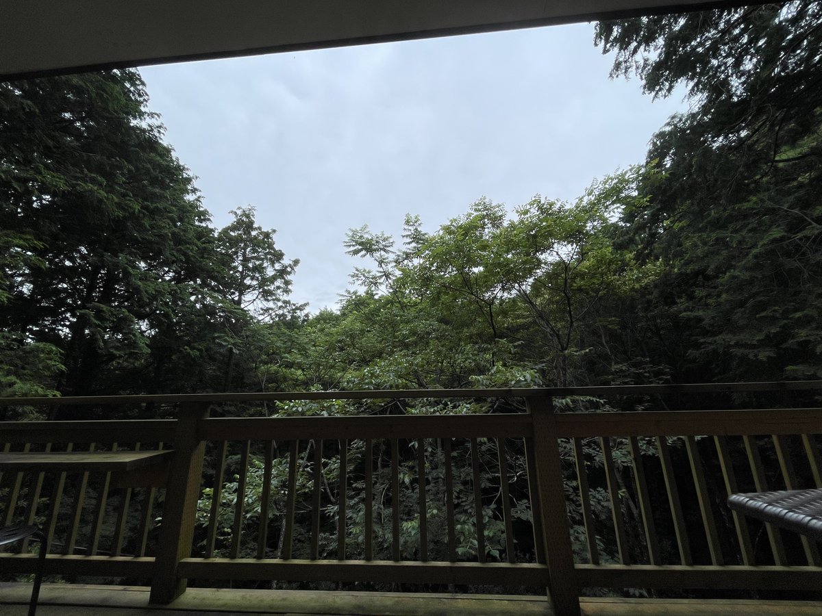CafeRuRu's tweet photo. 清掃終わりにテラスで森を眺めてる。
木々を渡る風と鳥の声に包まれるだけの優しい時間。 https://t.co/4KzpVEj6t0