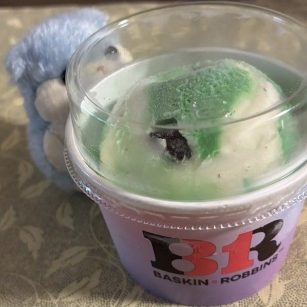 ramsterchan's tweet photo. 夏の島 ごちそうアイス🐹🍨 https://t.co/c3wAgK1GMz