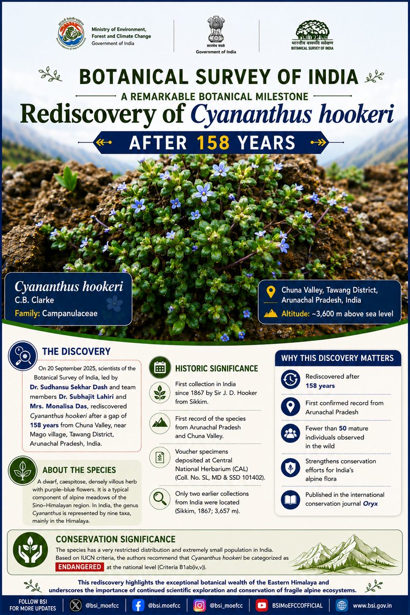 bsi_moefcc's tweet photo. 🌿 BSI scientists Dr. Sudhansu Sekhar Dash, Dr. Subhajit Lahiri, and Mrs. Monalisa Das have rediscovered the rare alpine species Cyananthus hookeri C.B. Clarke after an extraordinary gap of 158 years from Chuna Valley, Tawang District, Arunachal Pradesh.

This is the first confirmed record from Arunachal Pradesh and the first collection in India since 1867, highlighting the immense botanical wealth of the Eastern Himalaya and reinforcing the importance of continued exploration and conservation of India's fragile alpine ecosystems.🌱

#BotanicalSurveyOfIndia #PlantRediscovery #CyananthusHookeri #ArunachalPradesh #PlantTaxonomy #Biodiversity #Conservation #EasternHimalaya #Science #MoEFCC