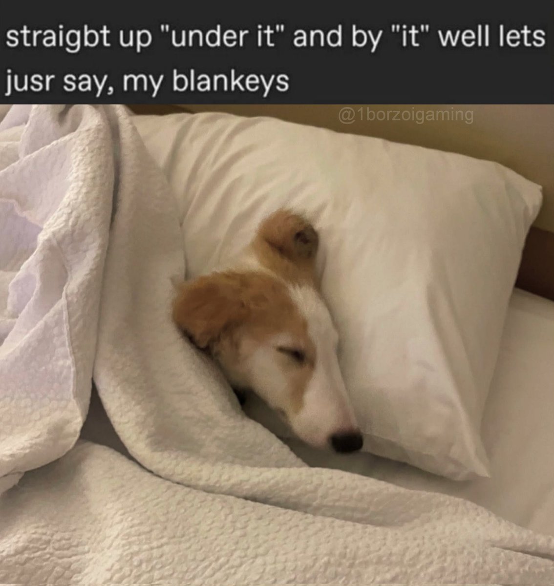 barleywheatling's tweet photo. goodnight https://t.co/M9AS6s8qfn