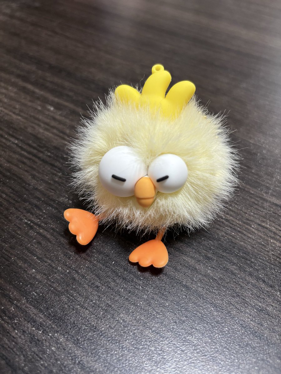 yuno298's tweet photo. ｶﾜｲｲ🐥⸒⸒ https://t.co/k5pE6ossBq