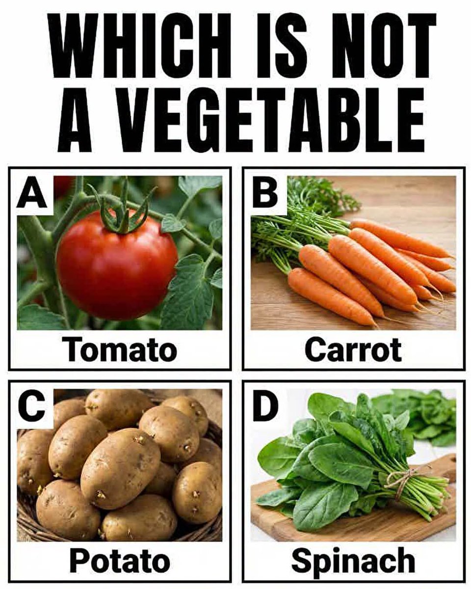 Sahar393815's tweet photo. Which is not a vegetable????? https://t.co/iwgPQDSxQf