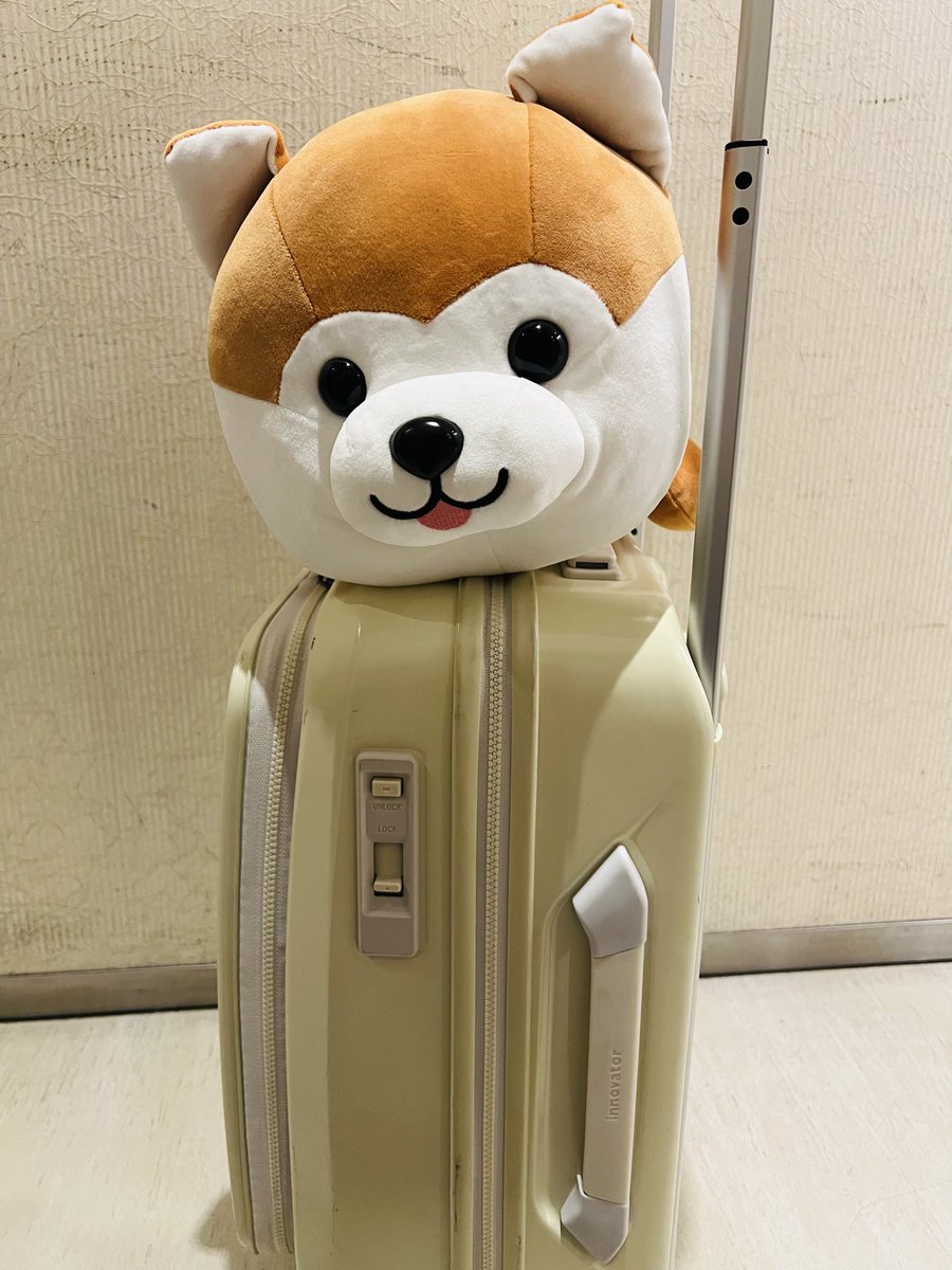 toukomoonsun's tweet photo. 東京駅で可愛いくじを見かけたので、ウチのワンコにお土産で…とくじ引いたら2等の秋田犬が当たった😵‍💫
ちっこい4等のちっこいのでよかったのにこーいう時だけ…😅 https://t.co/DKjcEHVT2W