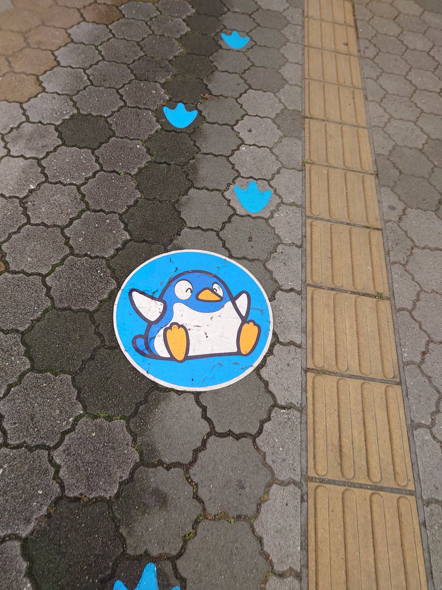 pelicanic_react's tweet photo. ドン・キホーテのやつとはまた別 https://t.co/lpRqkkDt0p