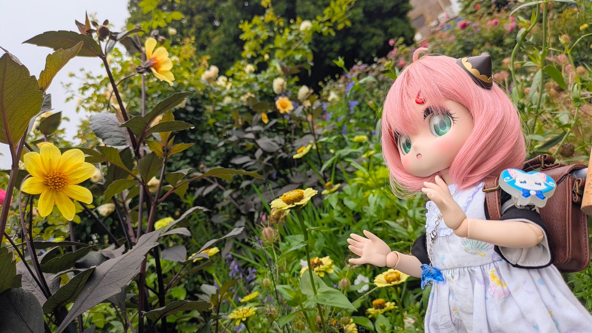 vanillanyan's tweet photo. #深夜のドール撮影素敵文1440分1本勝負

2026.7/4分のお題 【きいろ】

黄色のお花畑💫｡.:*･🌼🌼🌼 https://t.co/ZN7nk4JnQ4