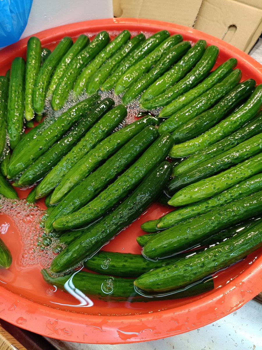 hatadatukemono's tweet photo. 半夏生夜市準備完了💖
胡瓜浅漬🥒
ぺっちん瓜✨️
売り切れたら帰りますw https://t.co/UaJTCap68c