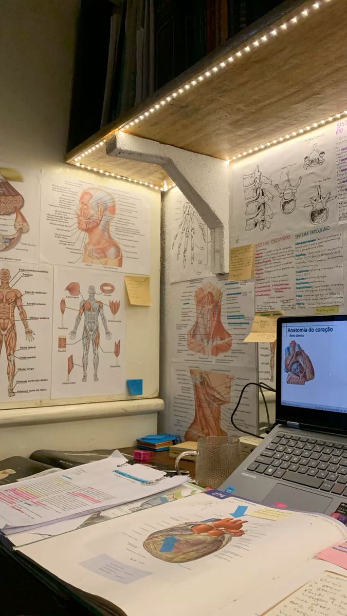 moraleDmaestro's tweet photo. i hope every single medical student reading this becomes a medical doctor. https://t.co/XpQ3ittOE0