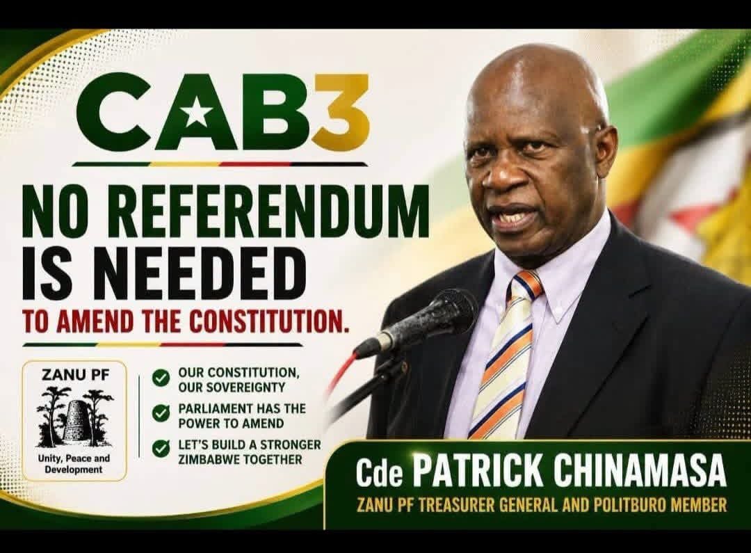 shonaprincesso's tweet photo. For it is unconstitutional to have a referendum when the constitution doesn't require one https://t.co/cDGe7kEEdP