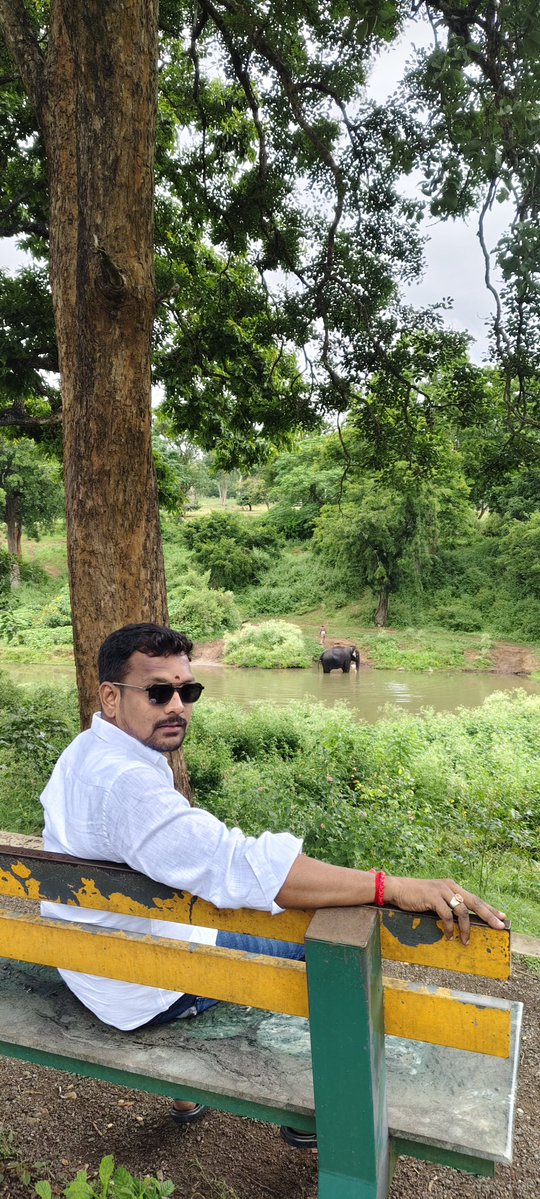 balajipmb's tweet photo. Beautiful. 

#MudumalaiTigerReserve #TheppakaduElephantCamp🐘
#TamilNadu https://t.co/cey6fz6H0l