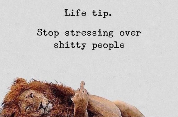 connie2138's tweet photo. Monday...........😂🙈 https://t.co/uQQqJ3kvZi