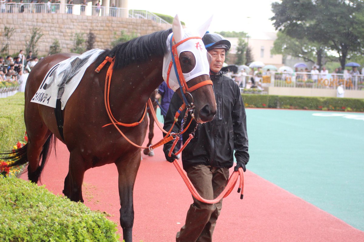 jHHJ2rjKVBKbNPB's tweet photo. 小倉競馬場　未勝利戦
ユイノジカンカセギ
ユイパルティ
2頭とも頑張りました
#九州産馬
#本田牧場生産馬 https://t.co/RMXgk0OPOA