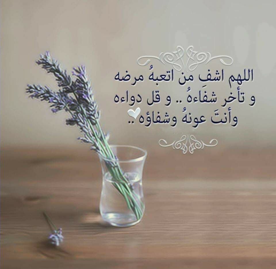 abohabibalfaide's tweet photo. https://t.co/wmCvFi40sB