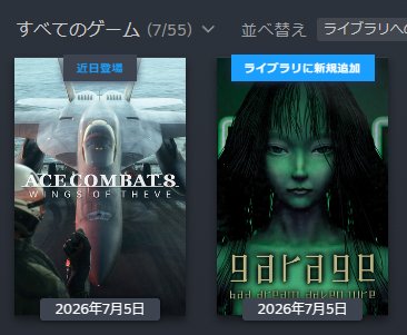 AkkeVT's tweet photo. 『エースコンバット８DELUXE EDITION』に金払って、
サマーセールで『ガラージュ』買ったぞい
組み合わせｗ https://t.co/xKyLjT9ZyD