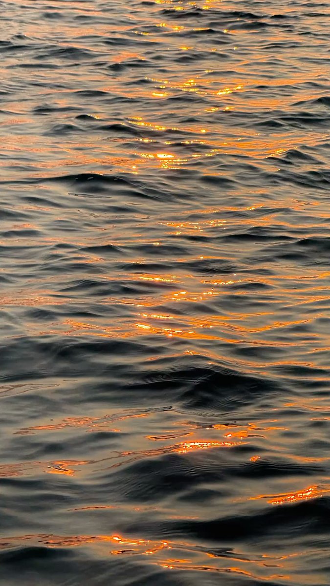 _Naturaee's tweet photo. shining like the sea 🌊 https://t.co/9nwYZ4SzvP
