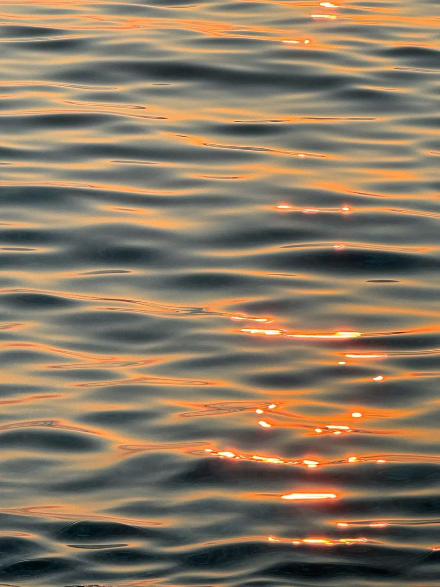 _Naturaee's tweet photo. shining like the sea 🌊 https://t.co/9nwYZ4SzvP