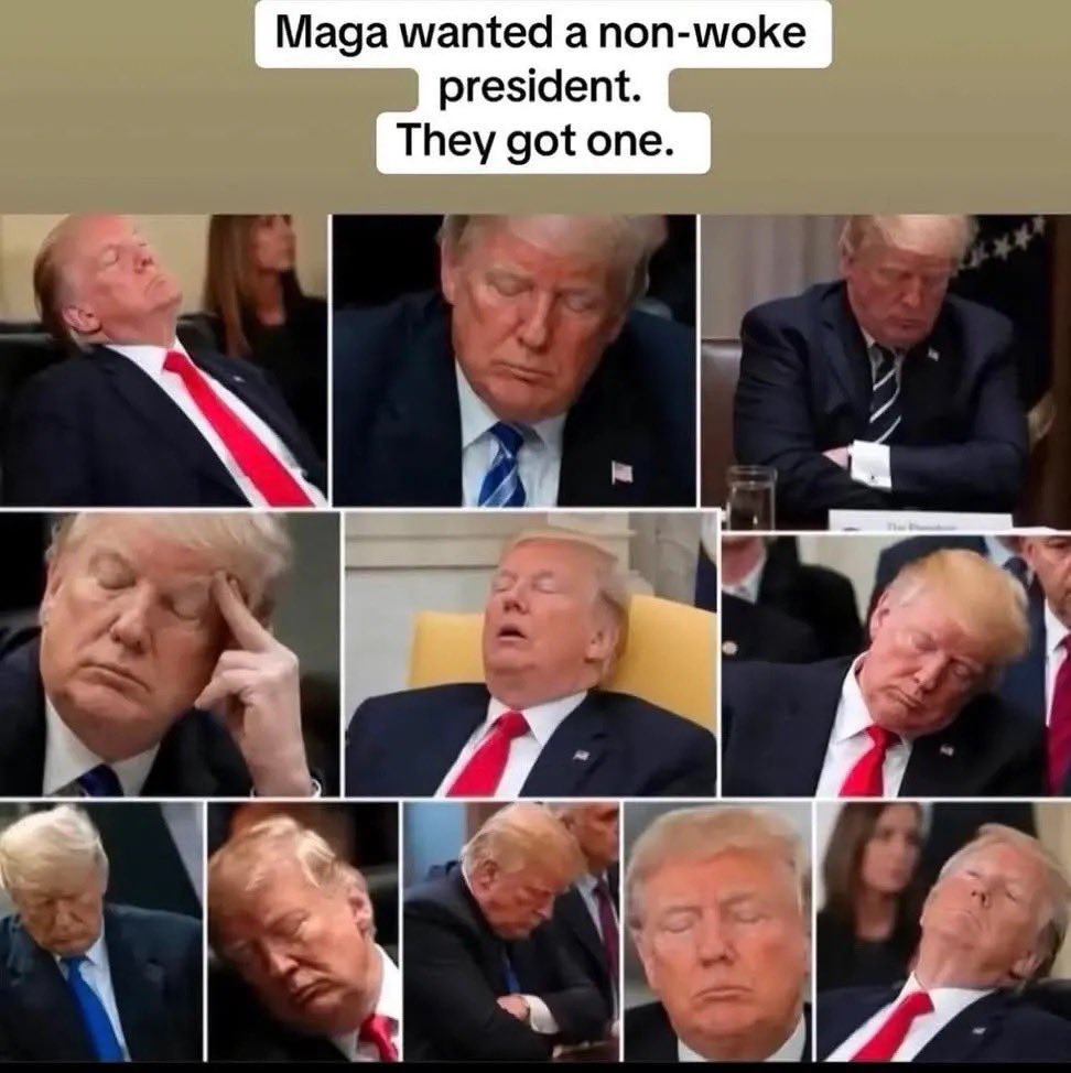 WayDurk's tweet photo. @MAGAVoice This is what hell look like. He ain’t woke. He can’t even stay awake for actually important presidential duties but sure he’ll be making a speech at 2. Gullible ass magtards hah https://t.co/jMWkdosQ34