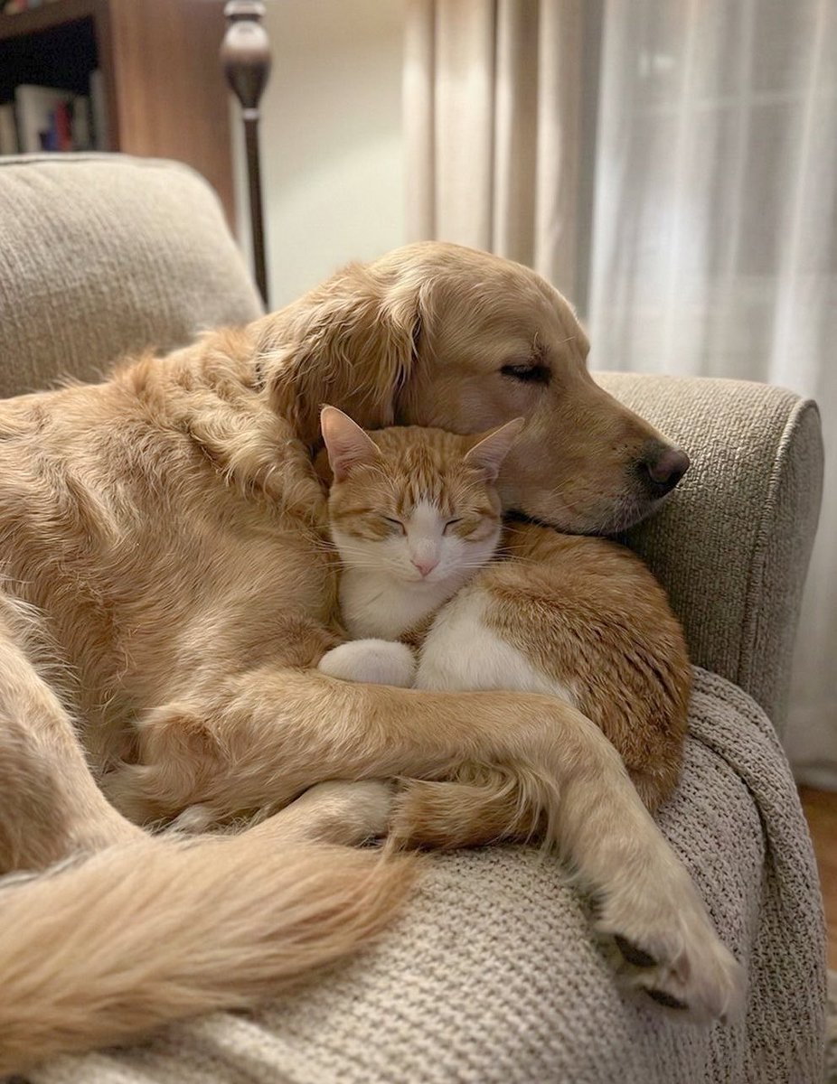 immellou's tweet photo. 🥺🫳🏻 https://t.co/fzZFfTrDDP