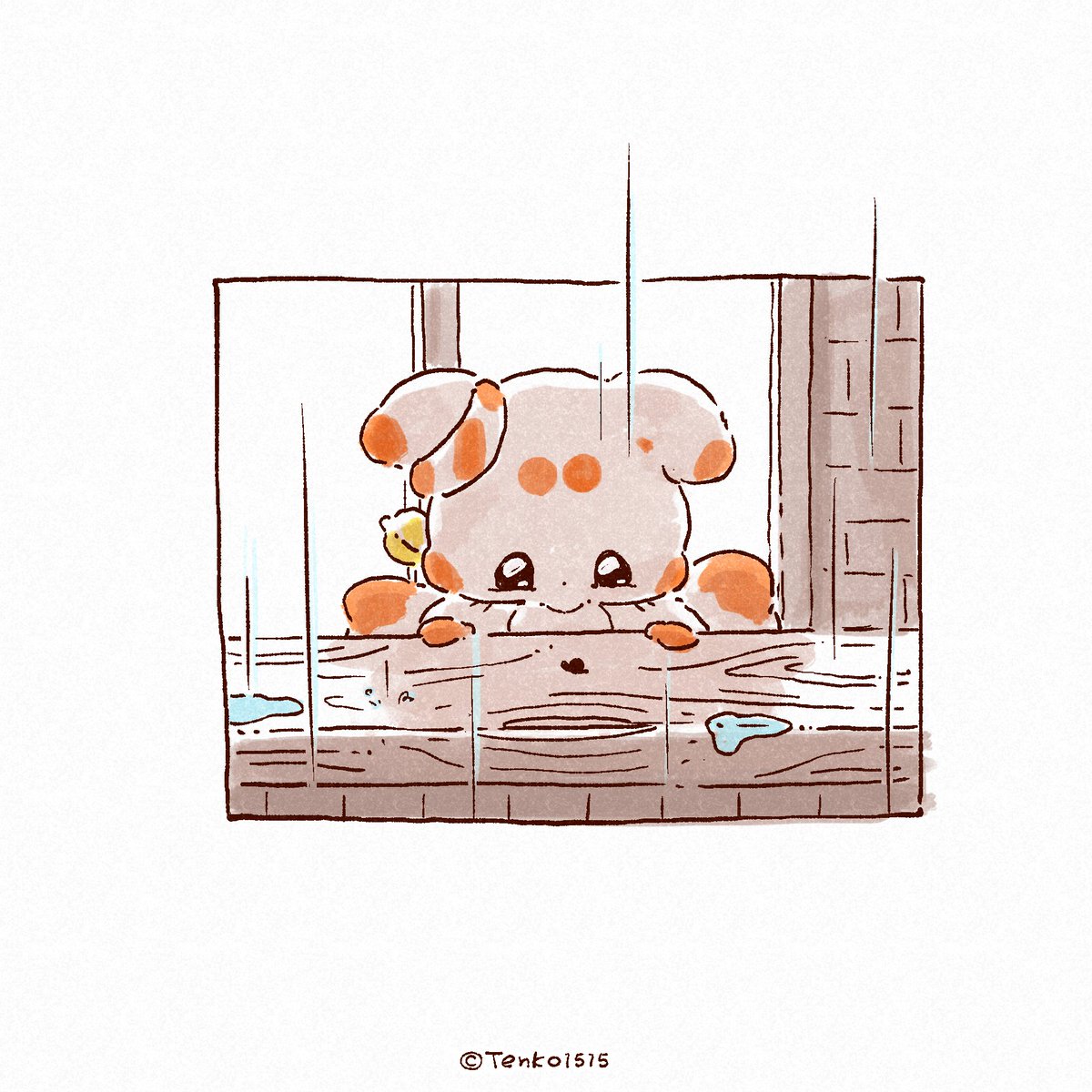 tenko1515's tweet photo. 梅雨🌧🐌☺️(1/3) https://t.co/RsTuVxRfo7