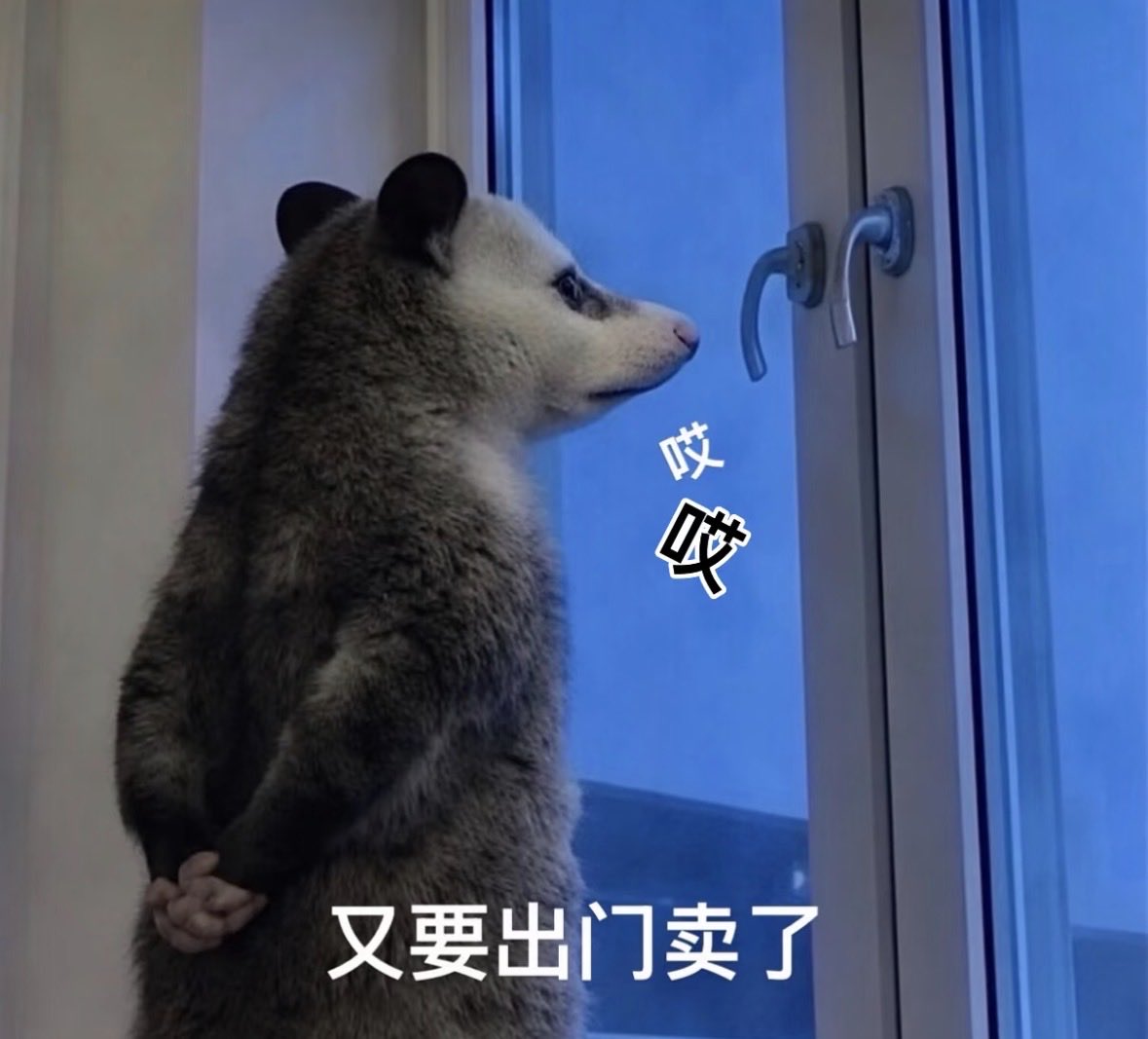 mialiami's tweet photo. 哎
翻工惨过做🐔 https://t.co/HrB0fFUhOa