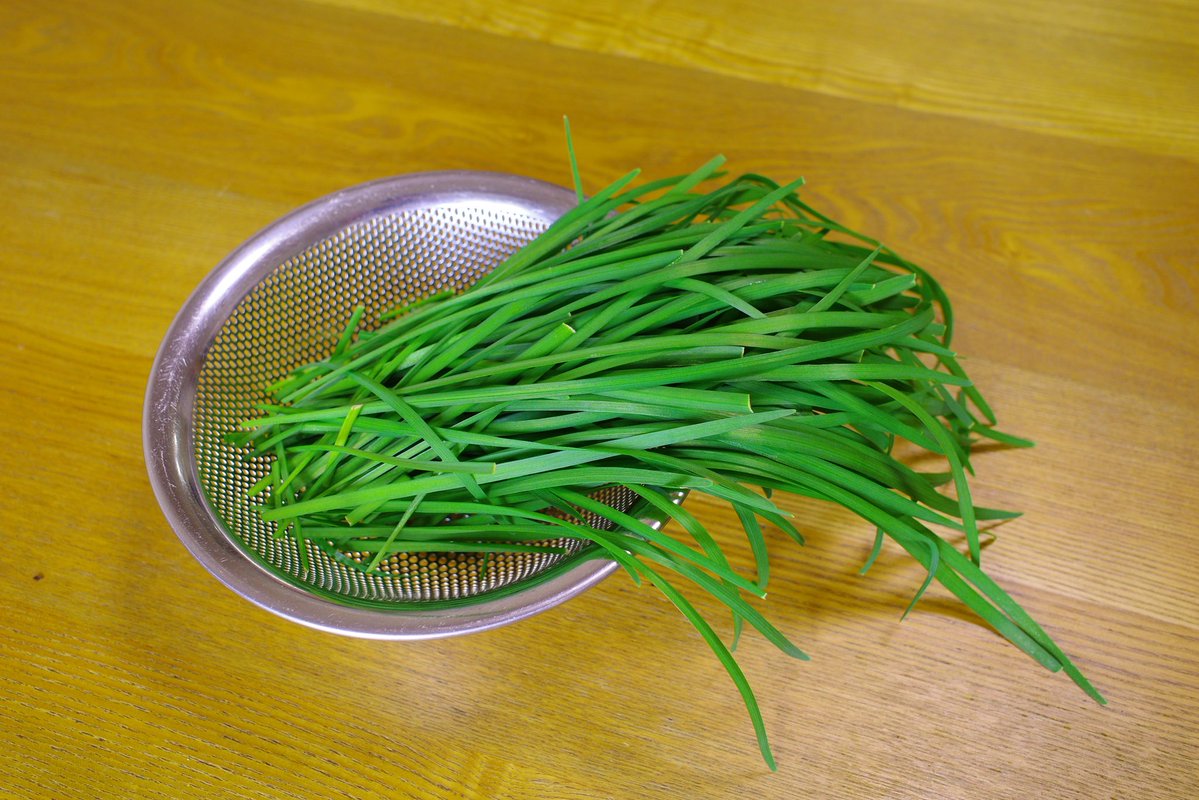 UG_TinyLab's tweet photo. ベランダ菜園🌱
ニラの収穫第七弾😄
前回の収穫から約2週間で、だいたい収穫できる大きさになります

#gardenshour #GardenersWorld  #GardeningTwitter #家庭菜園　#ニラ　#growyourown #ベランダ菜園　#プランター https://t.co/vOpGw8F88x
