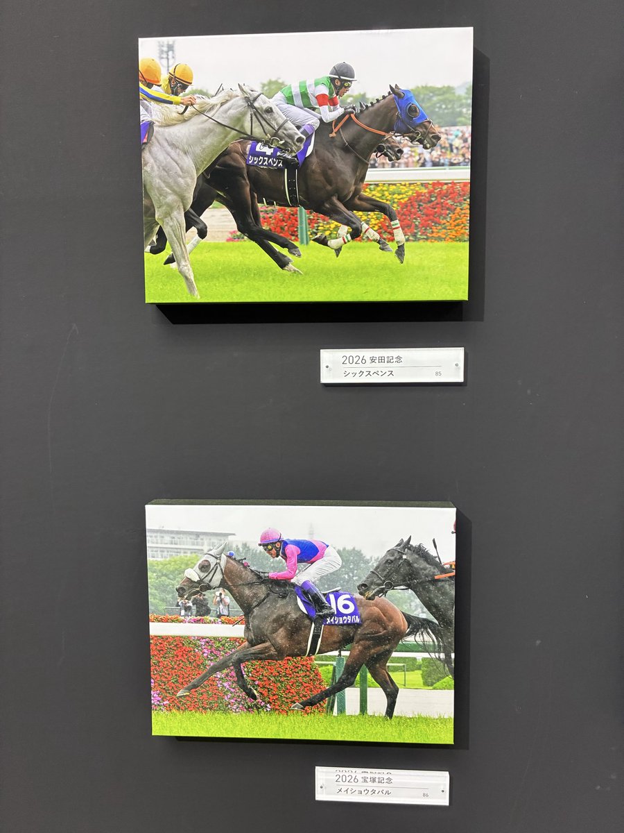 acezaki's tweet photo. 武豊展行ってきた🐎
#武豊展
#香林坊
#大和 https://t.co/dK8SR3da4J