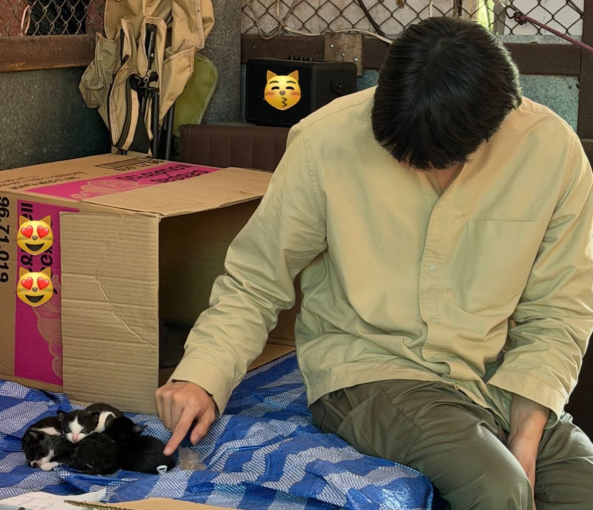 softforg4's tweet photo. my hearttt skypuppy with kittens 😭🤏🏻 https://t.co/j7adQdks5t