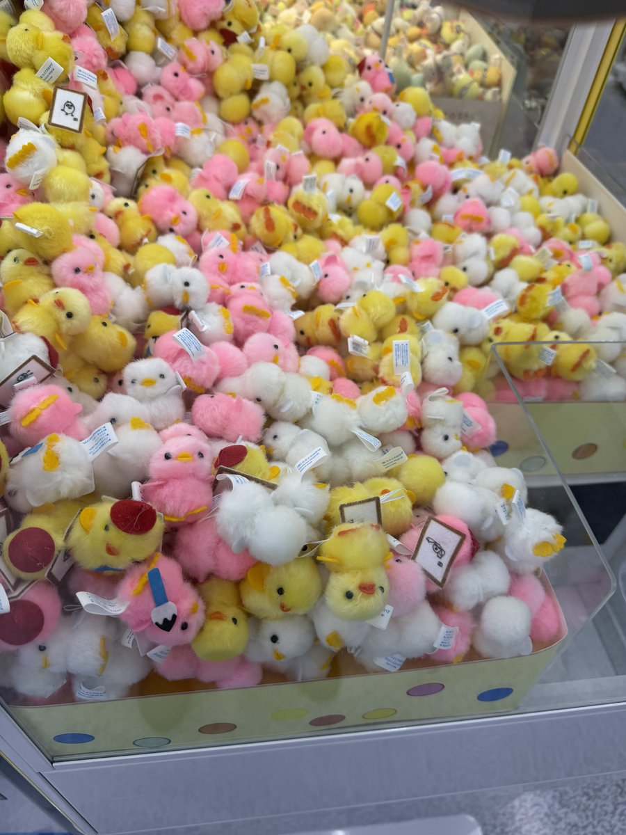 Post by かんたま on X: ピヨ‼️