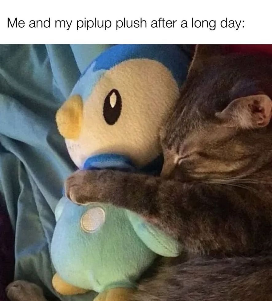 Pokémon Daily tweet media