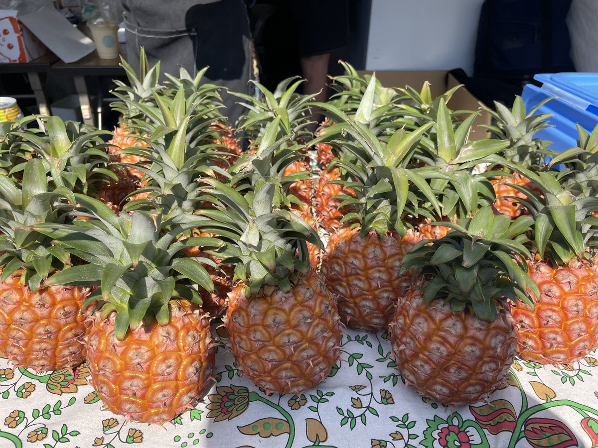 toyoseason's tweet photo. パイナポー🍍🍍🍍

#沖縄行きたいよー https://t.co/dFYAXdfWwg