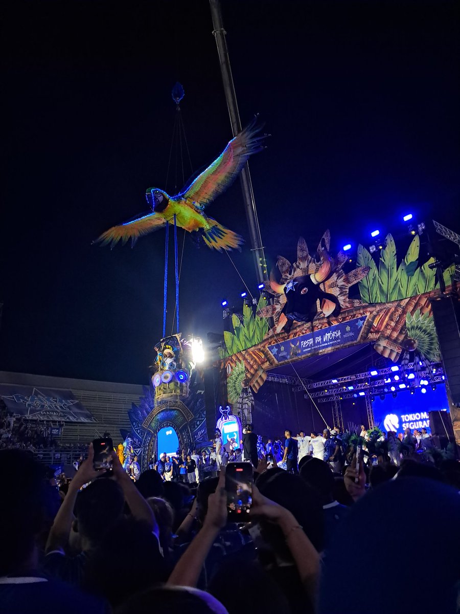varlosdk's tweet photo. Quando você é o melhor boi do norte.
@boicaprichoso #caprichoso https://t.co/T6GyZMhdgK