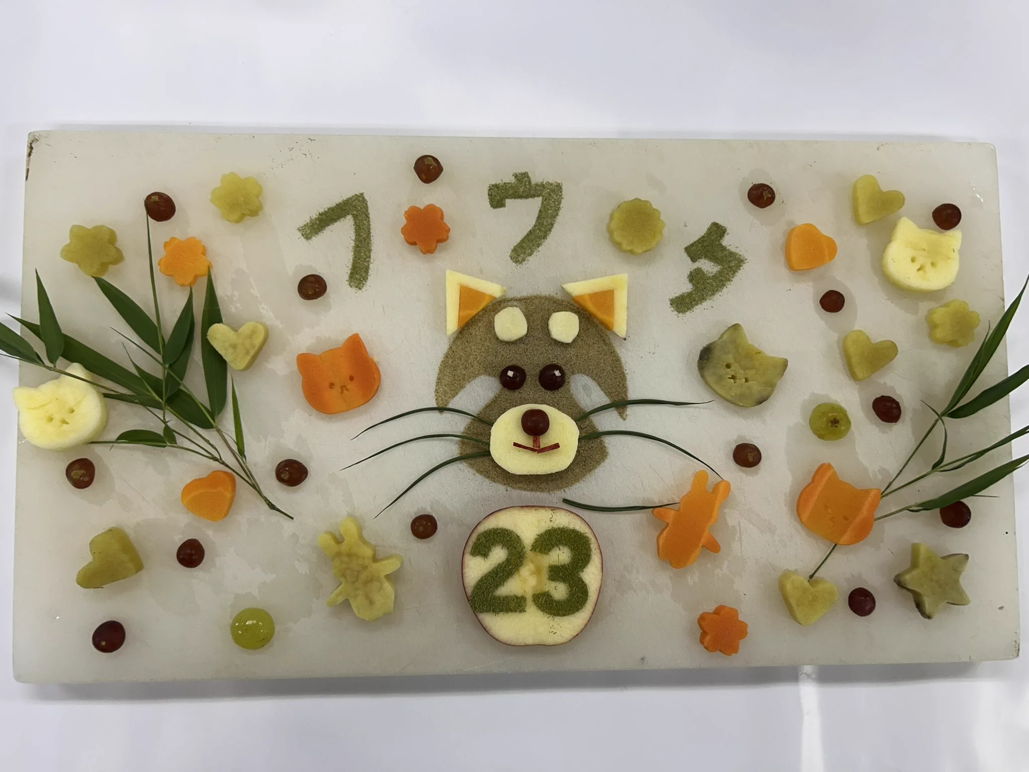 レッサーパンダ風太、23歳の誕生日を盛大に祝う