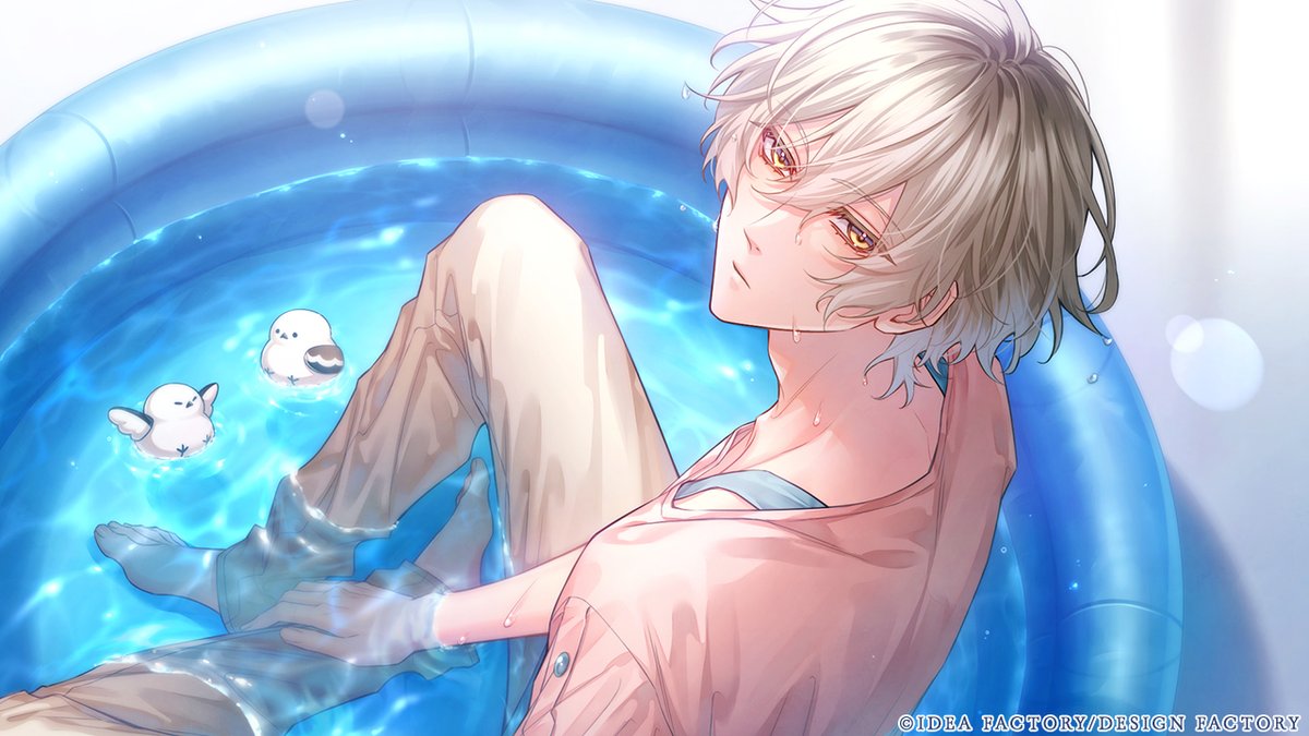 君に惑い、君に溺れる。【公式】 tweet media