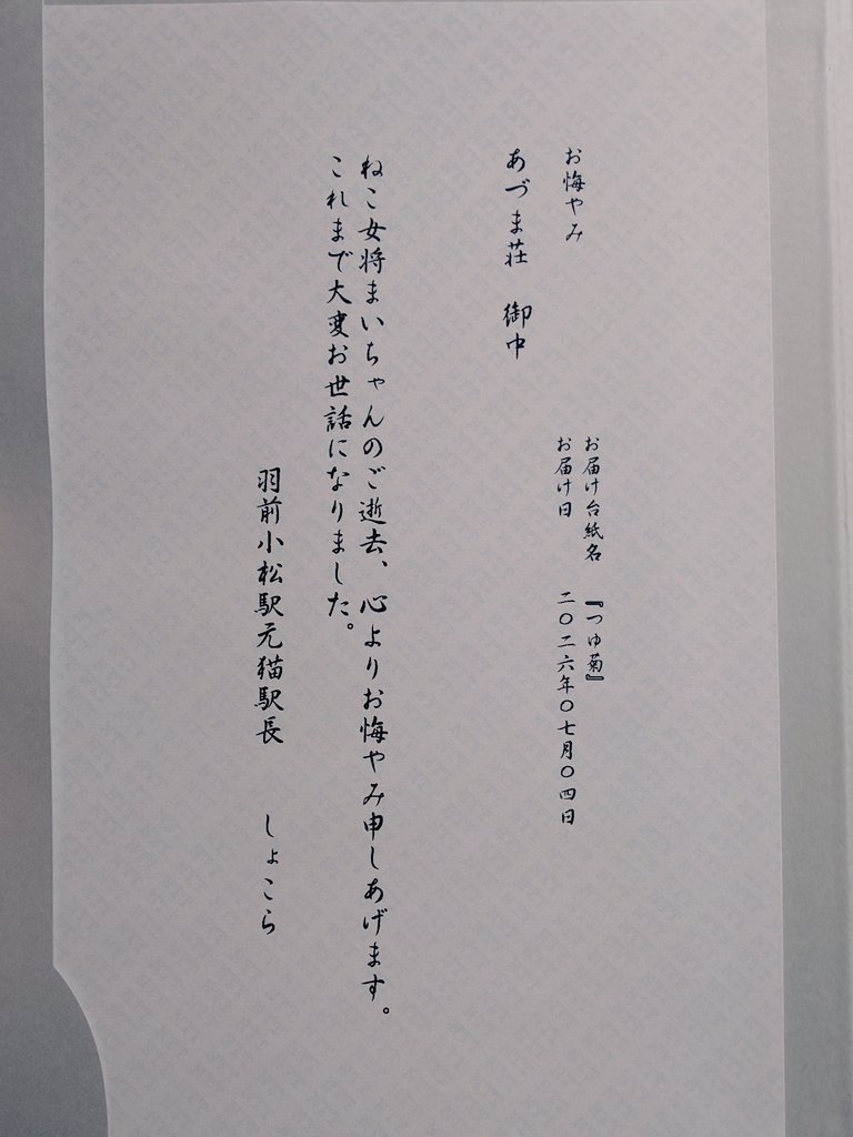 Azumasou_mai's tweet photo. 皆様多くの追悼コメント、過去のまいちゃんとの思い出や画像をお寄せいただきありがとうございます。非常に多くの方に愛されていたんだなと、改めて実感いたしました。

また、全国からお花や弔電が届いています。きっとまいちゃんも綺麗なお花に囲まれて喜んでいると思います。

コメントで妹のぷーちゃんの心配をされている方がおりましたので載せておきます。やはり少し寂しそうですが、女将を慰めるように今まで以上に膝に乗って来るとのことでした。

なかなか一つ一つへのご返信が難しい状況ではありますが、良ければこれまでの宿泊で撮影したまいちゃんを、引き続きコメントに載せて貰えたら嬉しく思います。
