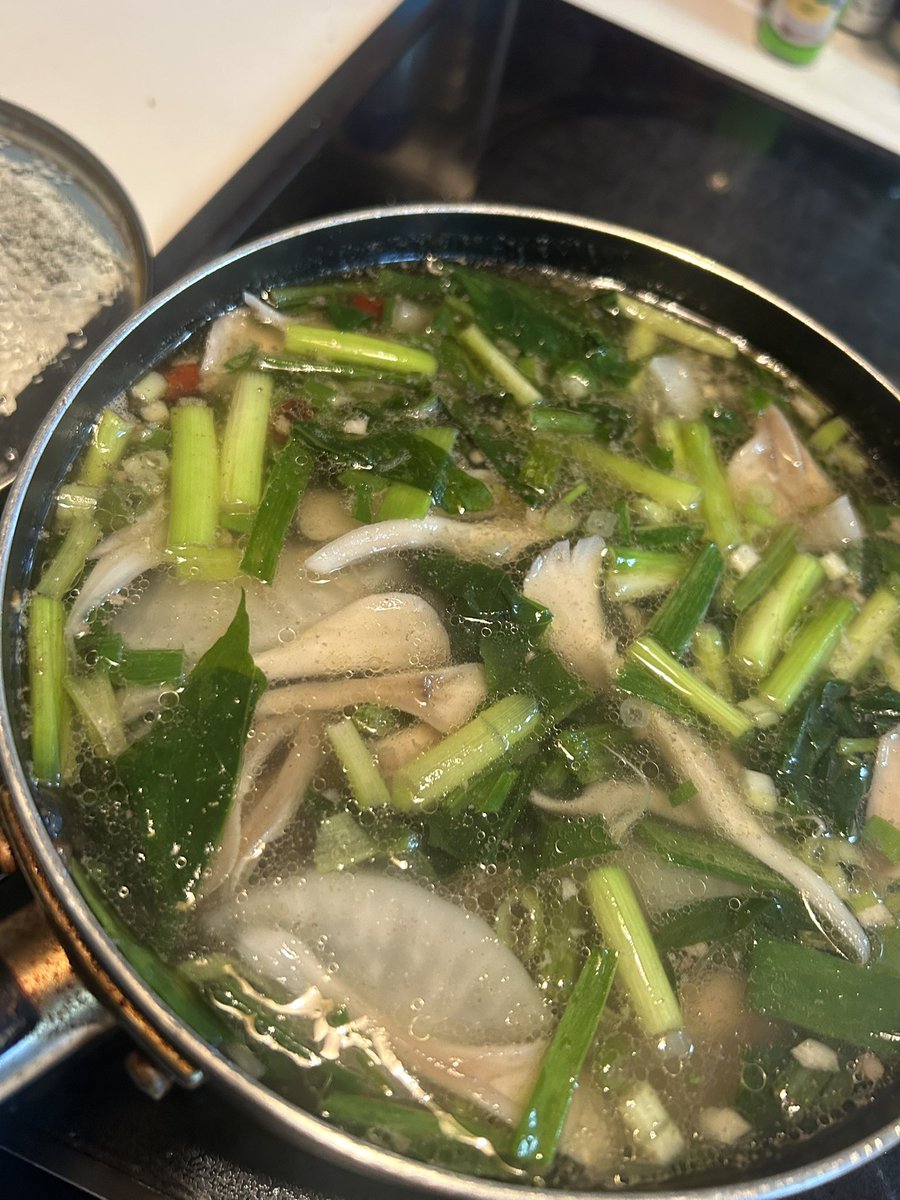 sumire_shisha's tweet photo. 今日は美味しい薬膳スープ作ってお家で穏やかに過ごしてます😌 https://t.co/q6ySE5S6o4