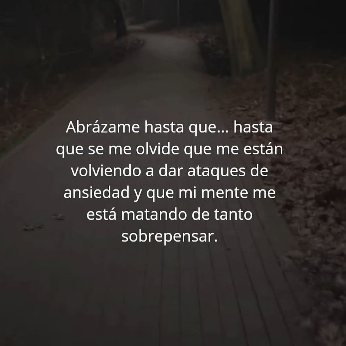 angelo_uf's tweet photo. https://t.co/EFU7OZtB4v