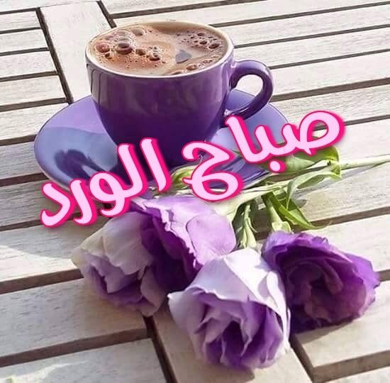 _Sunlight2468's tweet photo. @majidrahim3 https://t.co/nKEUomn6It