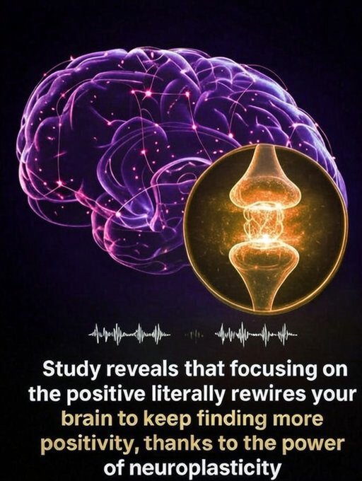 Rainmaker1973's tweet photo. Your thoughts literally reshape your brain.What you repeatedly focus on doesn't just linger in your mind—it physically changes its structure. 

By intentionally directing your attention toward the positive, you begin forging and strengthening neural pathways that make it easier to notice and appreciate more good things. This is neuroplasticity at work: your brain's lifelong ability to create new connections in response to your focus, emotions, and habits.

Every time you pause to savor a kind act, a small achievement, or a simple moment of beauty, you're reinforcing the neural circuits that help you view the world with greater clarity and calm. With consistent practice, this becomes your brain's new default—automatically tuning in to what's right rather than dwelling on what's wrong. 

The payoff includes reduced stress, improved emotional stability, and stronger mental resilience against life's challenges.This isn't about denying difficulties; it's about actively training your brain to seek out opportunities and solutions instead of getting trapped by obstacles. 

The exciting part? You're in control—you can start rewiring these pathways any time you choose.Give it a try: Spot one positive thing today. 

Tomorrow, look for two. Soon, make it five. And then watch what happens.