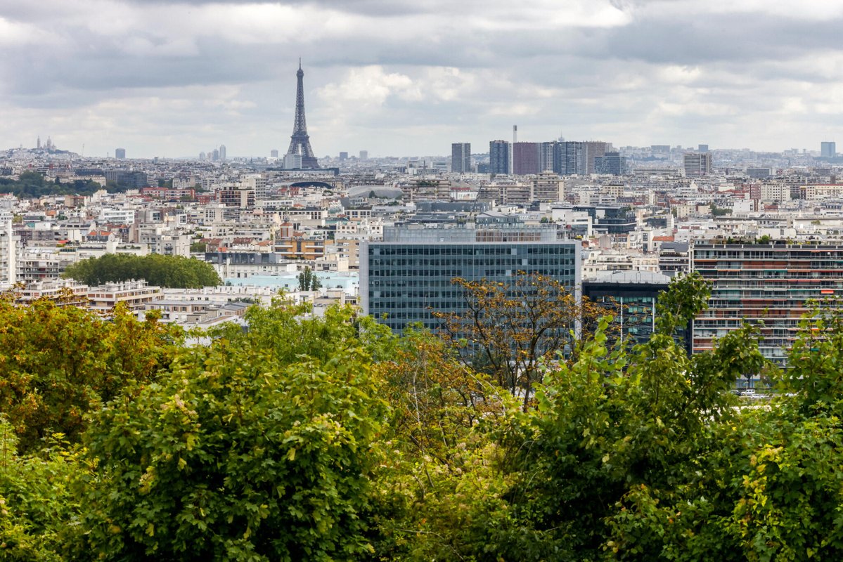 LeParisien_75's tweet photo. Paris : les arbres, comme le hêtre victime de « coups de soleil », résisteront-ils aux canicules à répétition ?
➡️ https://t.co/tvvLZmoZ94 https://t.co/V0giUfybAZ