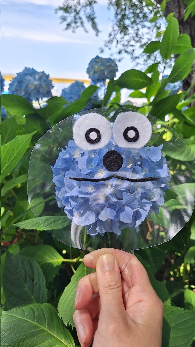 merotowa113902's tweet photo. 私には紫陽花がスンスンに見えちゃって…🤭どうしてもスンスンにしたくて『何でもスンスンにできちゃう魔法のうちわ』を作ってスンスンにしてみた🤭横長で水色の物なら何でもスンスンにできちゃうの🤭　#パペットスンスン　#紫陽花 https://t.co/4V8OuHEgBX