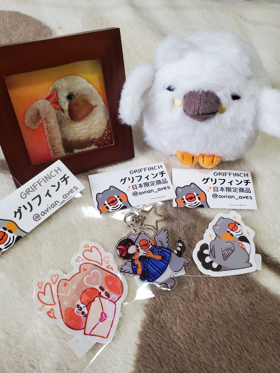 鳥フェス浅草 戦利品✨avesさんの原画と雛グリフィンチがゲットできて