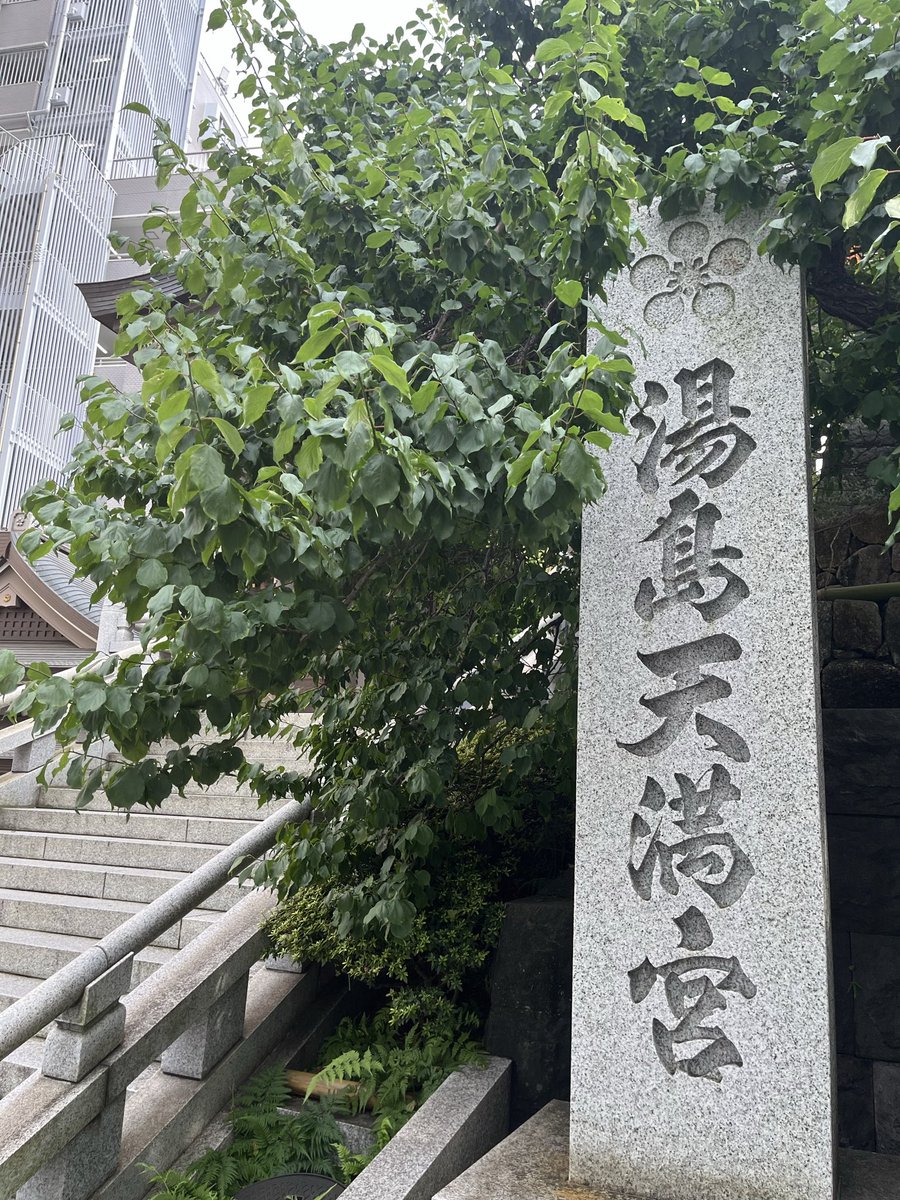 maccoy9's tweet photo. 6年目結婚記念日前の休日にご参拝⛩️🙏
晴れて良かった🎋😊 https://t.co/FyWgQPPqZz