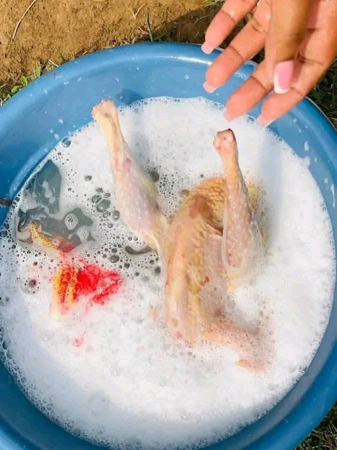 MaamaKampala21's tweet photo. When you call your Gen Z girlfriend to prepare lunch 🤣🤣 https://t.co/evmr3zQ7TT
