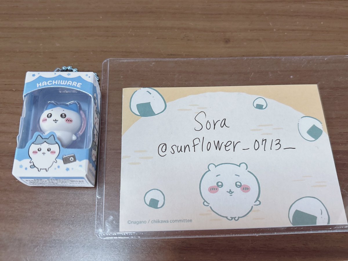 Sora🐾 tweet media