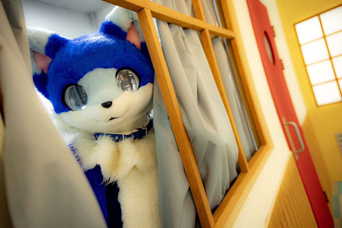 hyo_at700's tweet photo. 見つけた！🏫🐱💙🪟

#Fursuiteveryday
#TnRworkshop https://t.co/yE9qzvqZxk