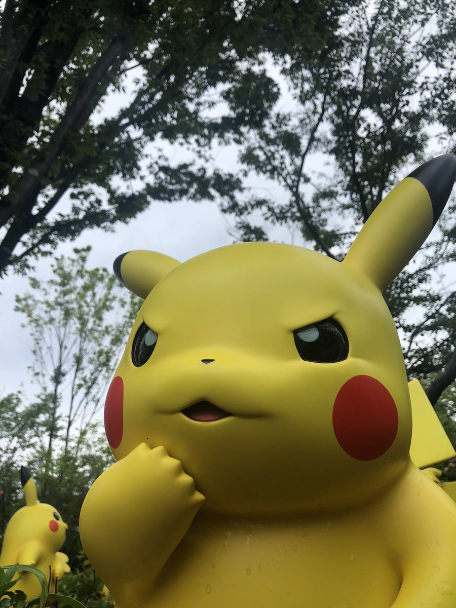 masadaonodera's tweet photo. At PokéPark Kanto https://t.co/SnQ9xQ0Eap