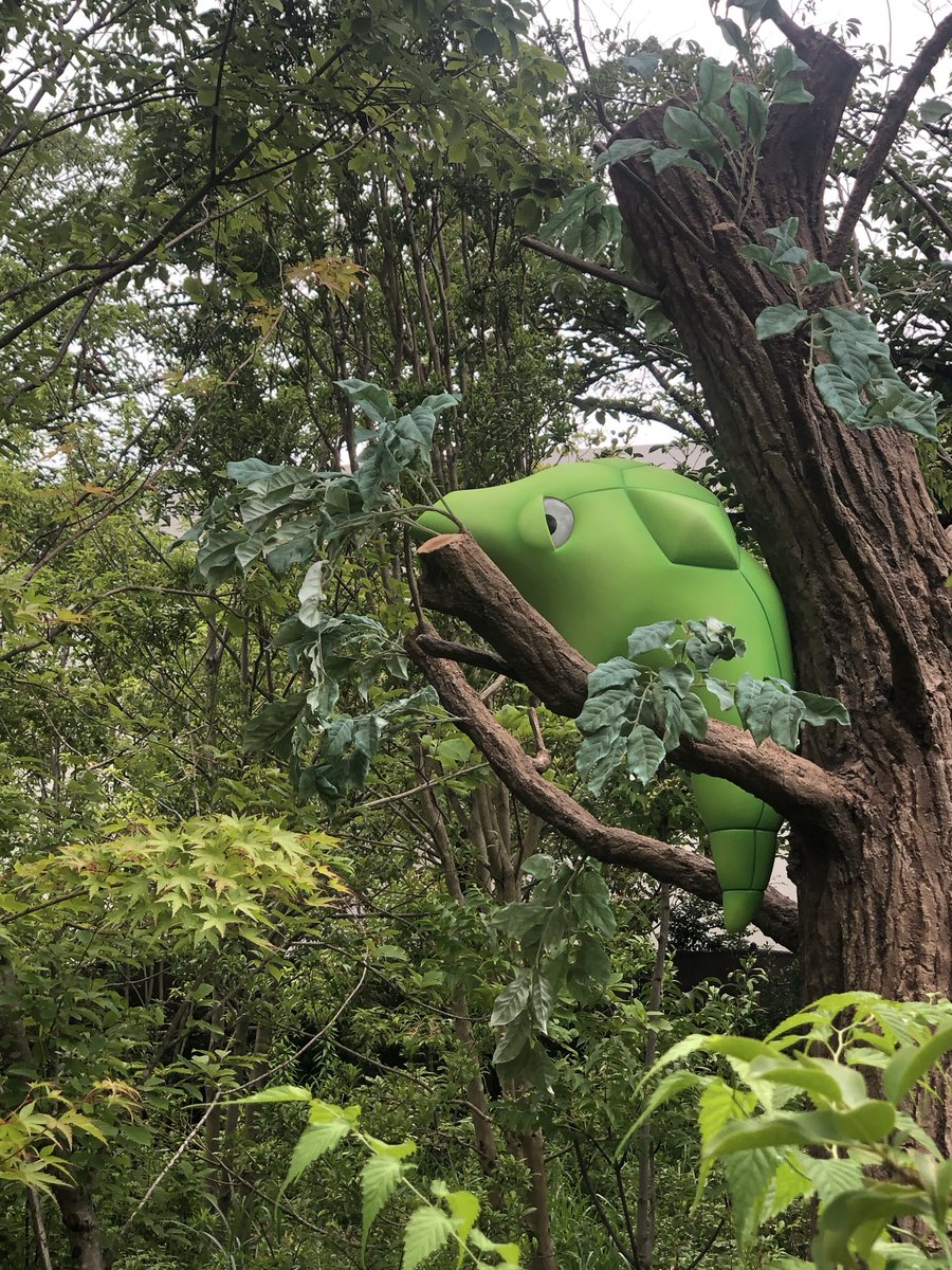 masadaonodera's tweet photo. At PokéPark Kanto https://t.co/SnQ9xQ0Eap