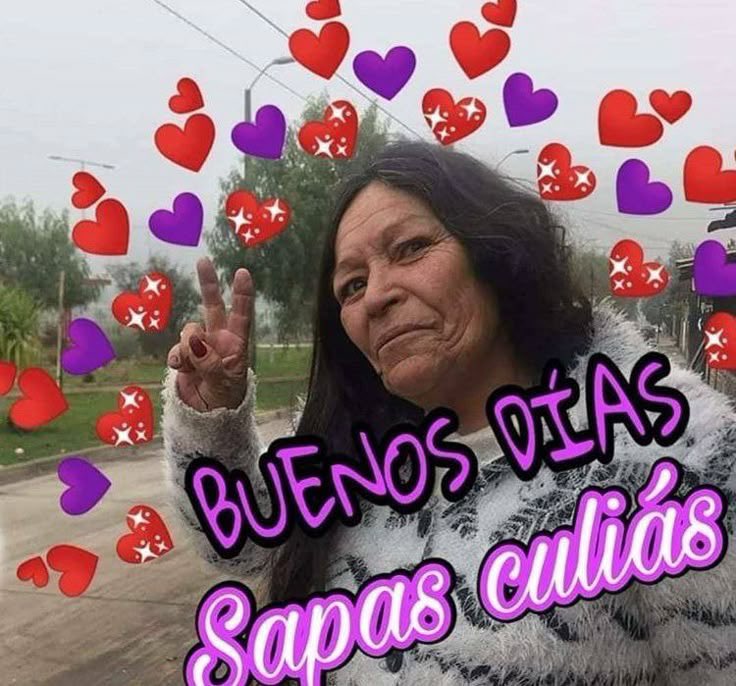 yuli | veré a bts 🇨🇱 tweet media