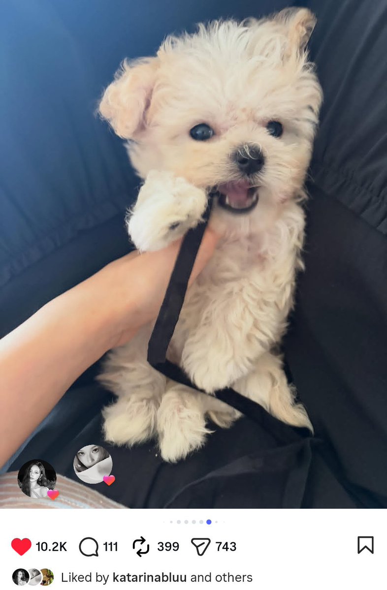 waepples's tweet photo. LIVING TUGEDER?????? L-I-V-I-N-G   T-O-G-E-T-H-E-R?!?!?!? omg okay say hi to my parents who have one baby in their room, and they r soooo in love with her (my keluarga cemara) https://t.co/rdXuc5IBNP